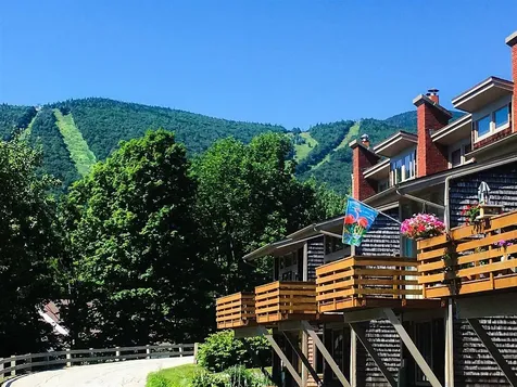 105 Forum Drive Warren VT 05674