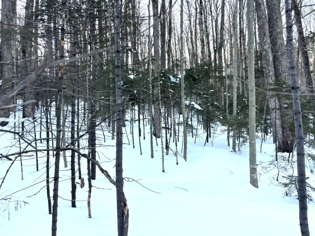 12 Buckboard Drive Dover VT 05356