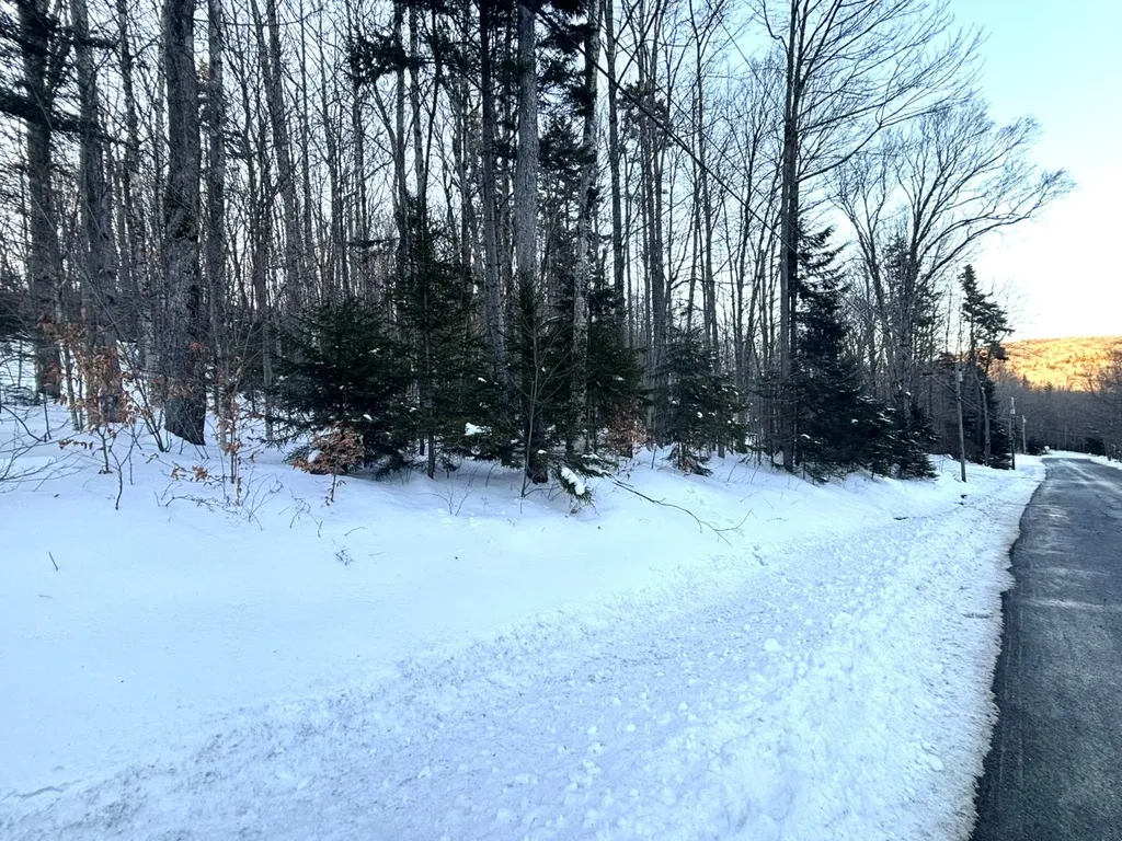 12 Buckboard Drive Dover VT 05356