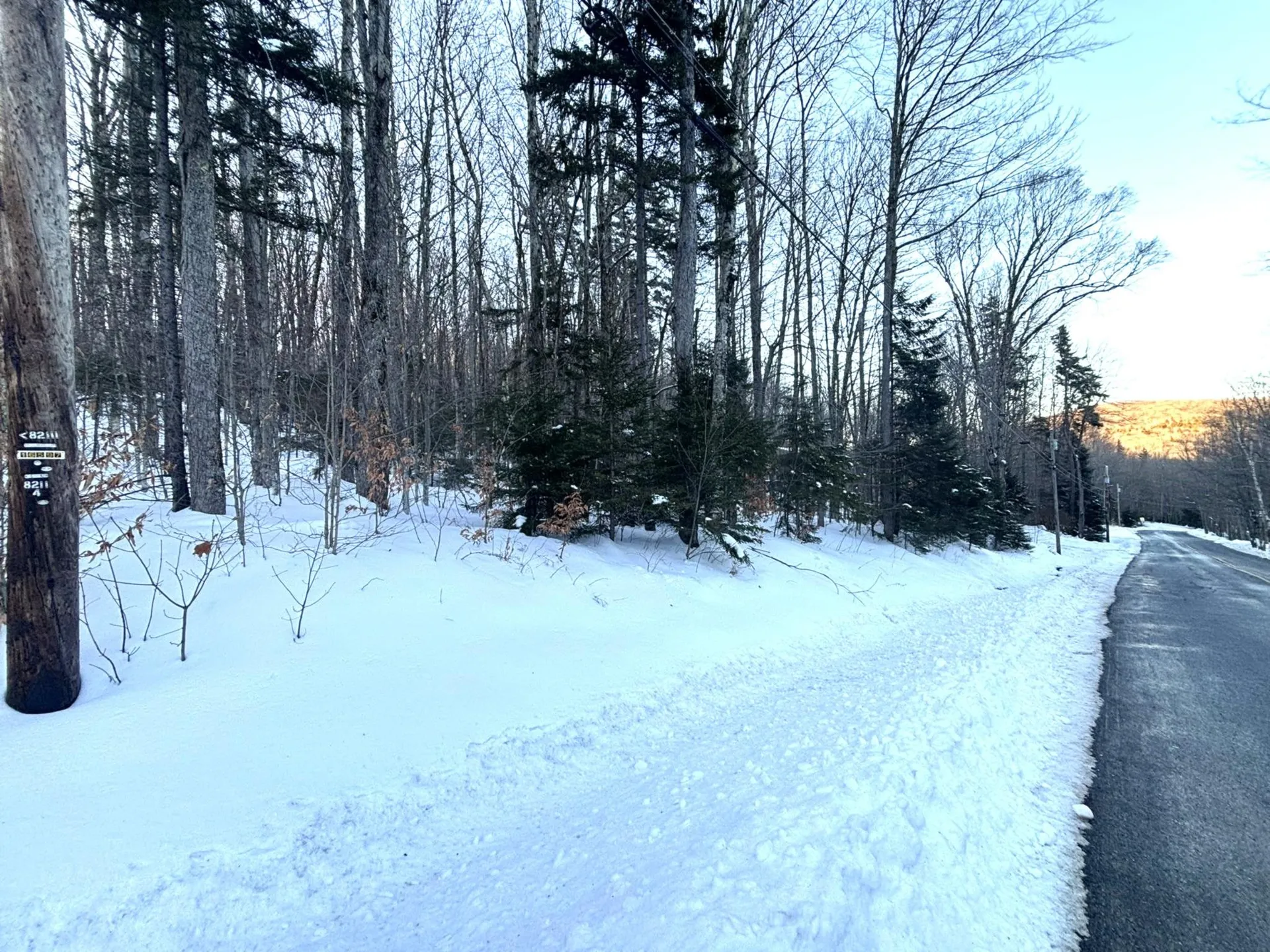 12 Buckboard Drive Dover VT 05356