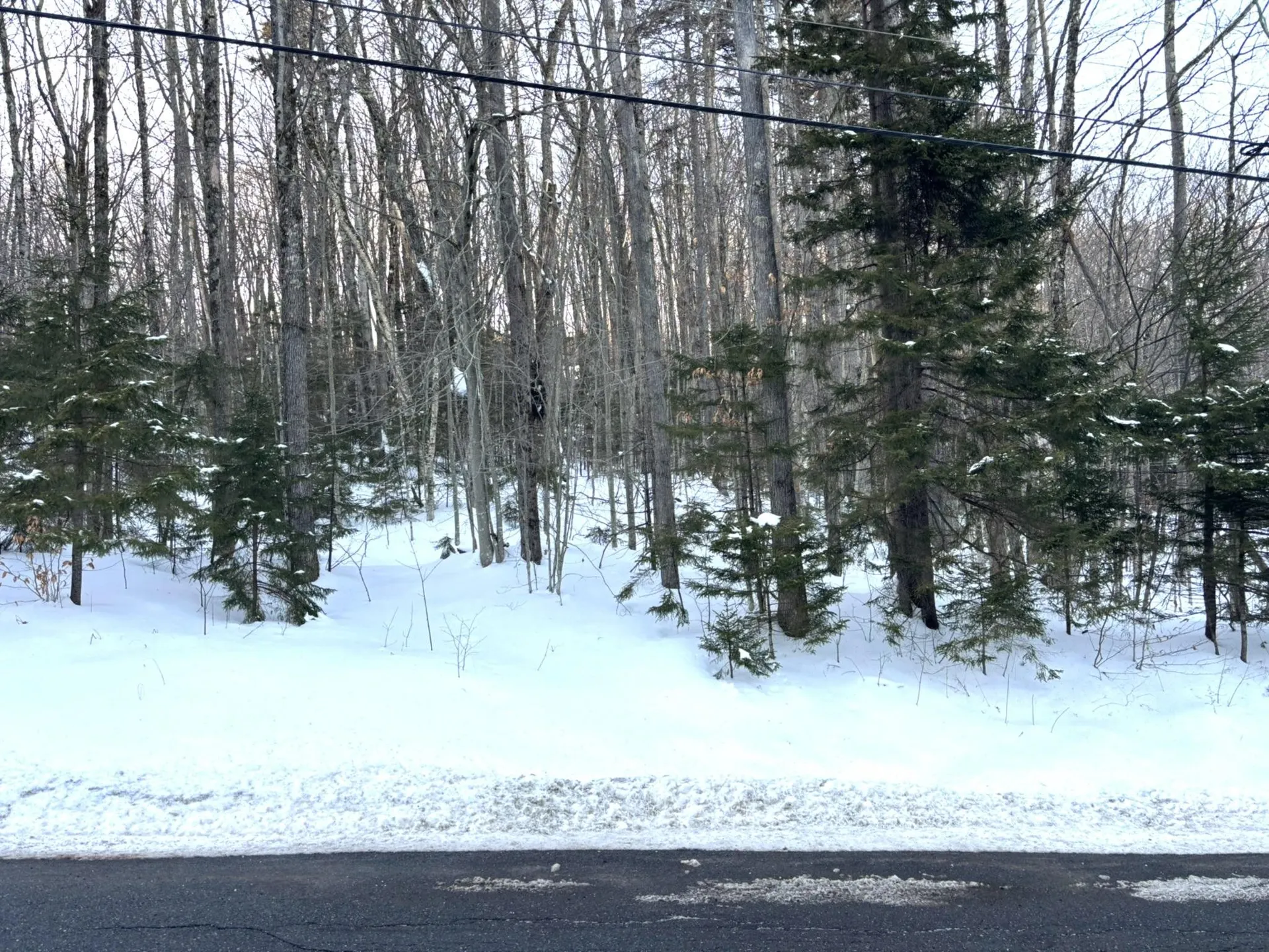 12 Buckboard Drive Dover VT 05356