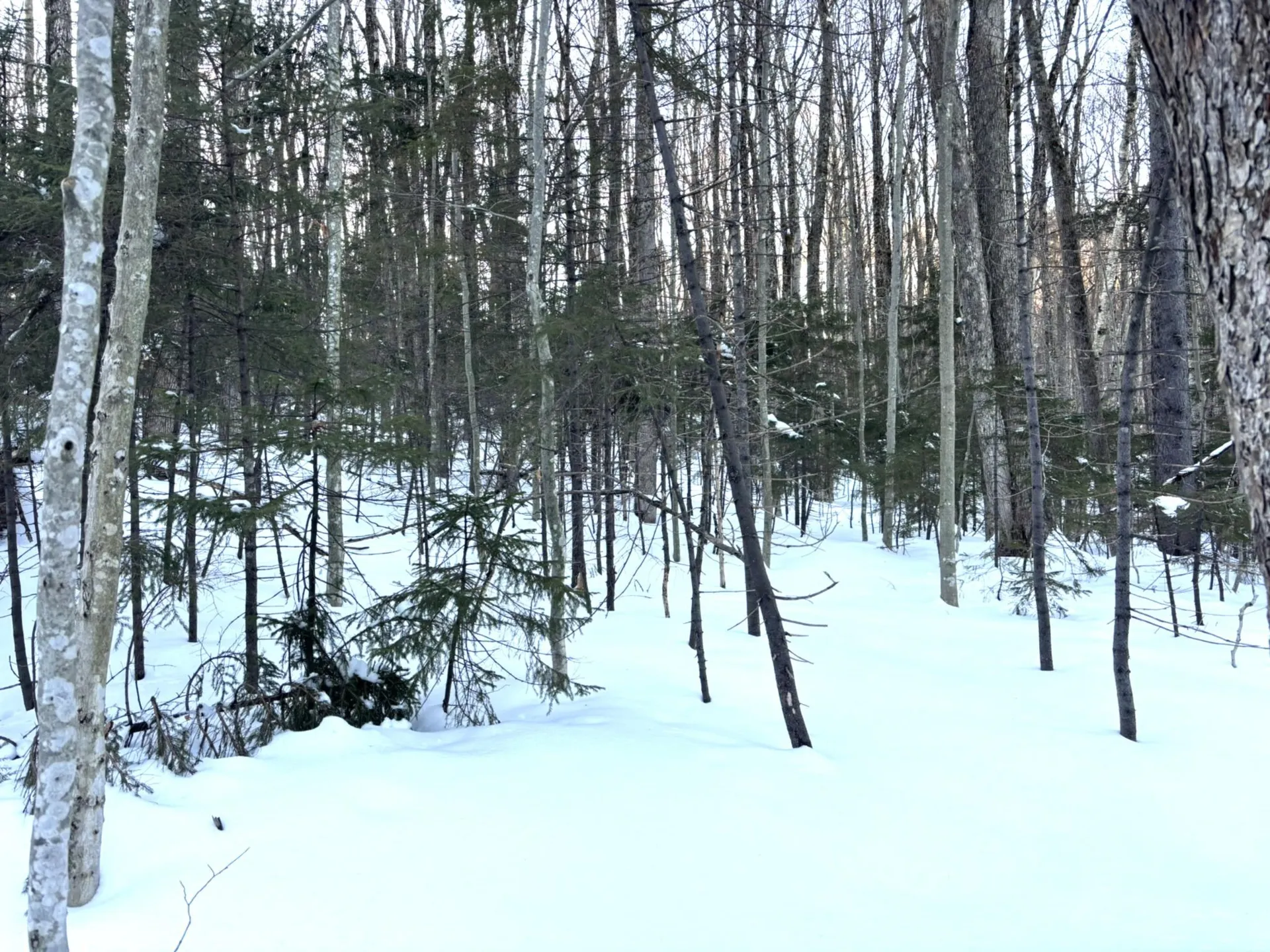 12 Buckboard Drive Dover VT 05356