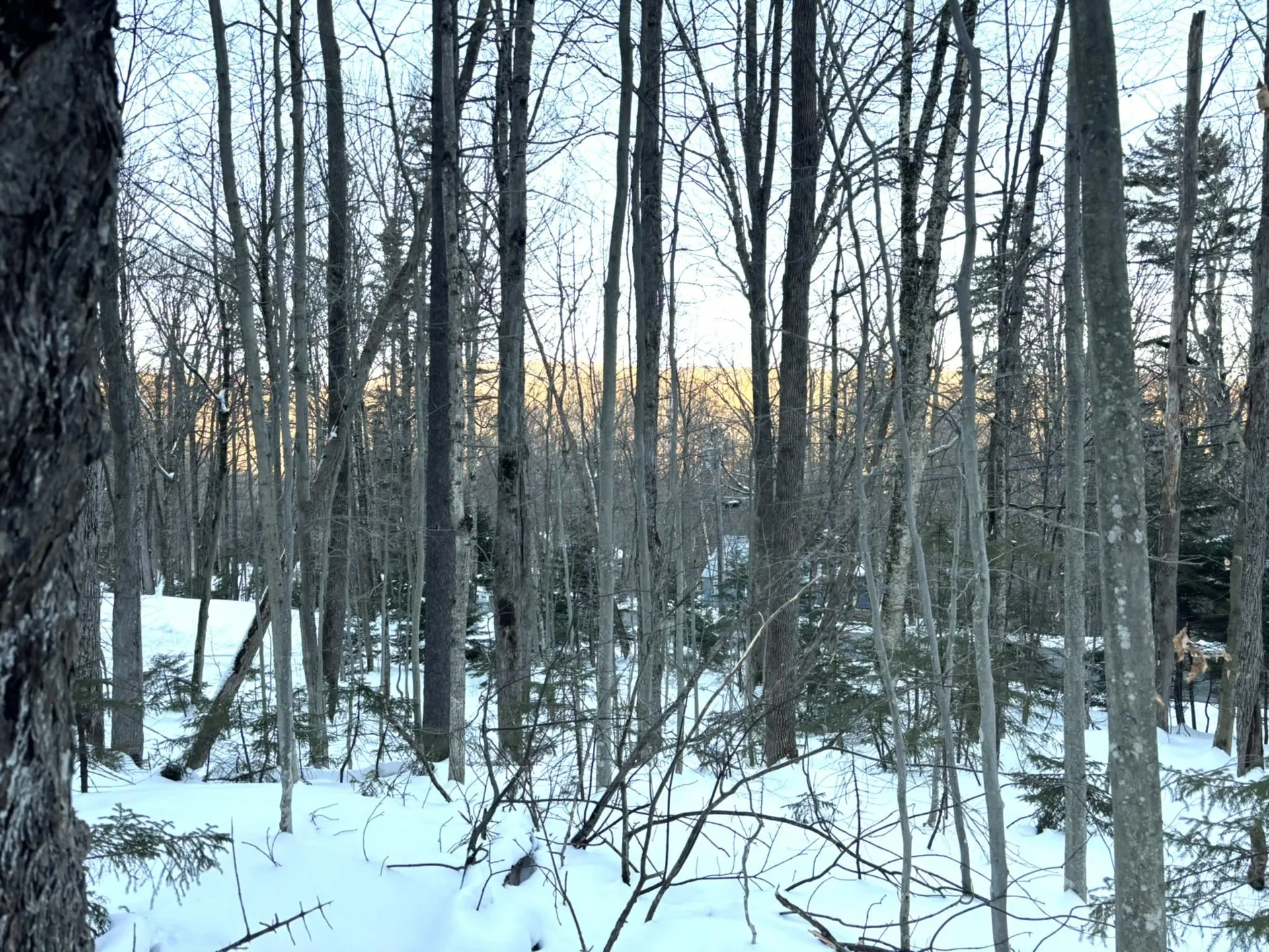 12 Buckboard Drive Dover VT 05356