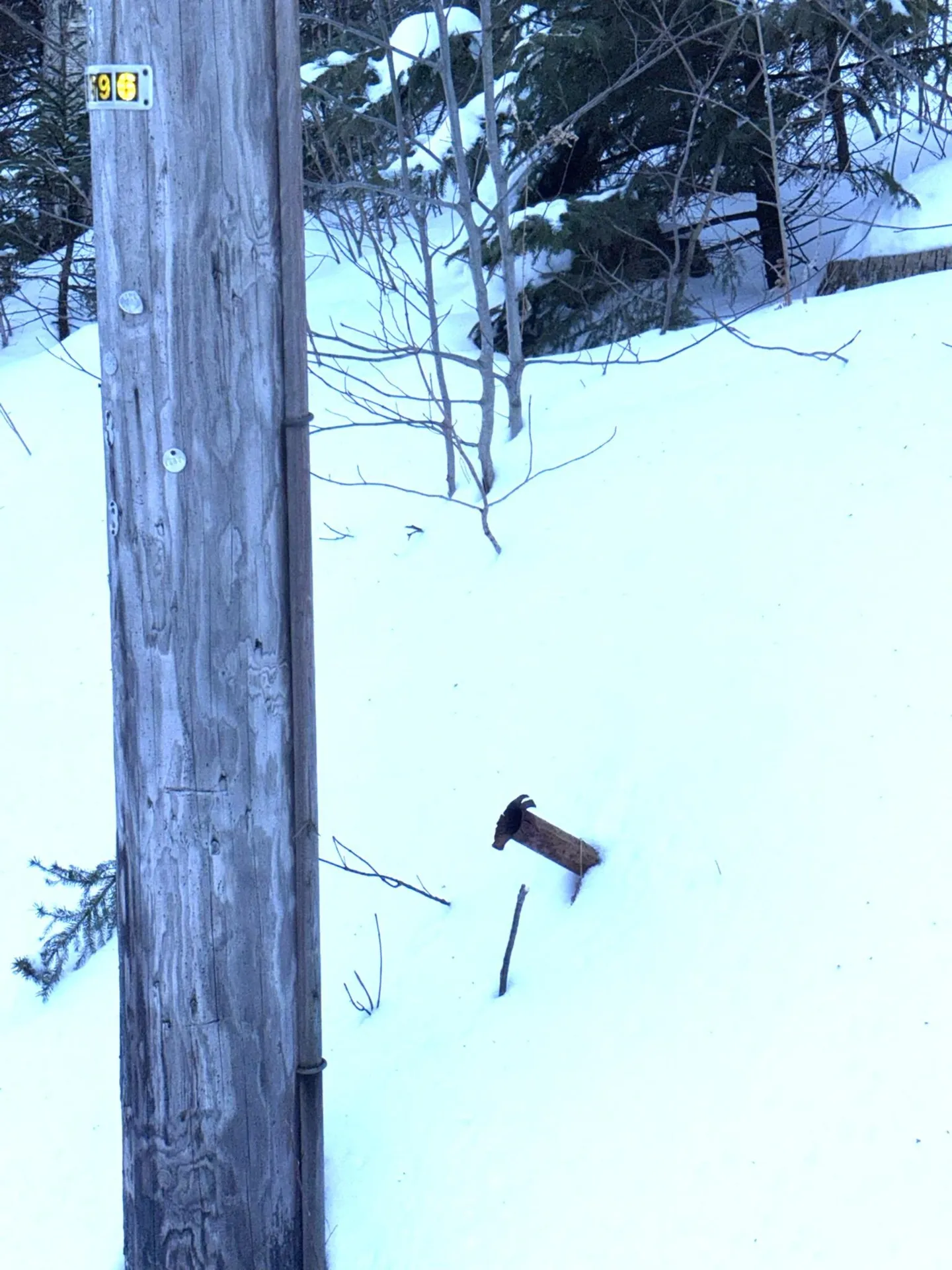 12 Buckboard Drive Dover VT 05356