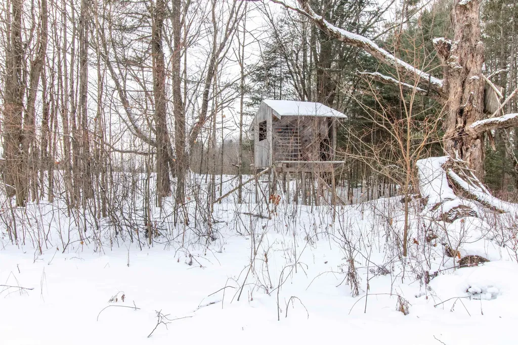 321 Davis Lane Brownington VT 05860