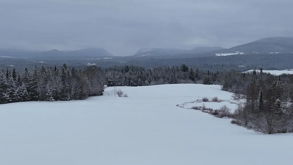 321 Davis Lane Brownington VT 05860