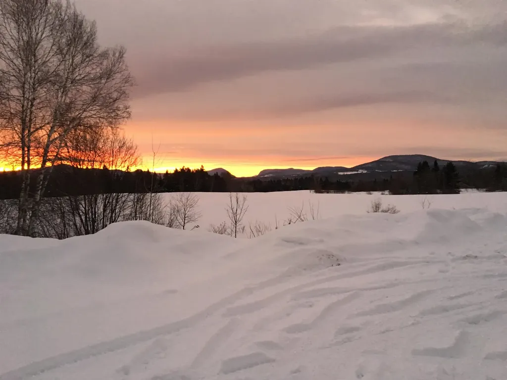 321 Davis Lane Brownington VT 05860