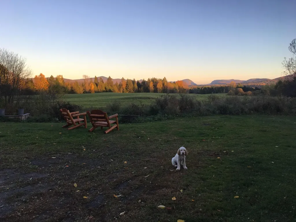 321 Davis Lane Brownington VT 05860