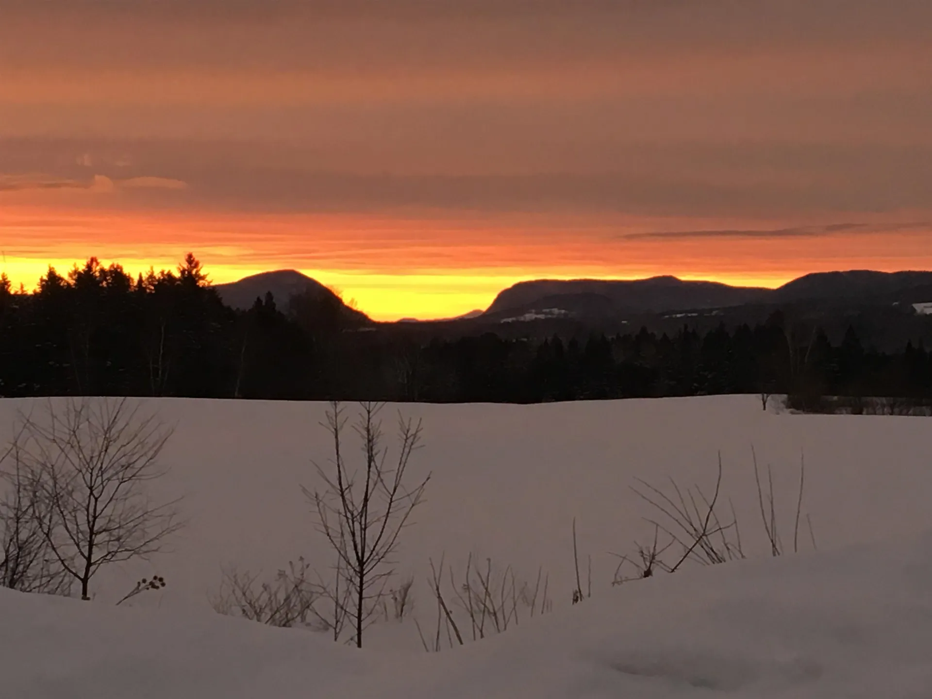 321 Davis Lane Brownington VT 05860