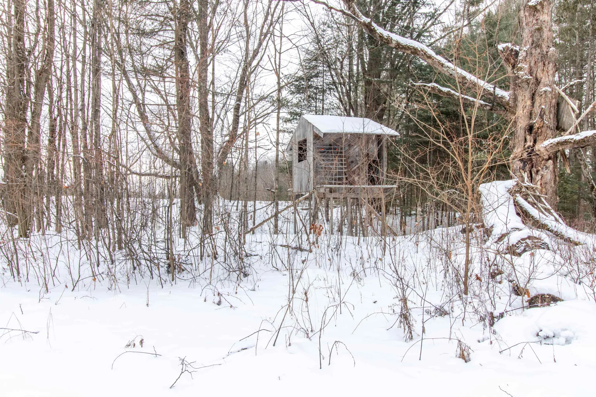 321 Davis Lane Brownington VT 05860