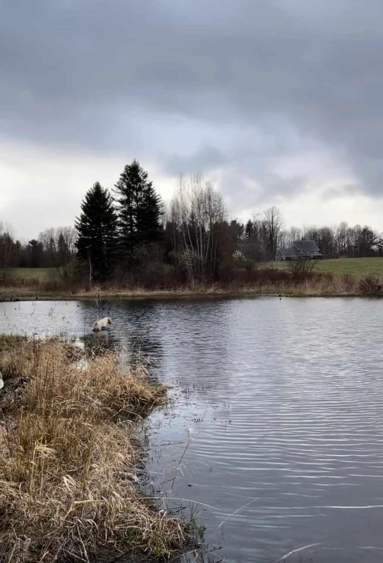 321 Davis Lane Brownington VT 05860