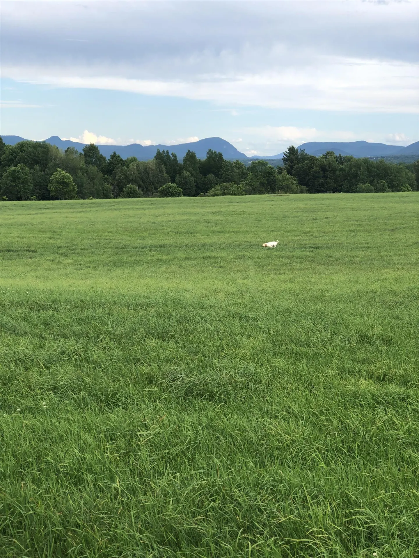 321 Davis Lane Brownington VT 05860