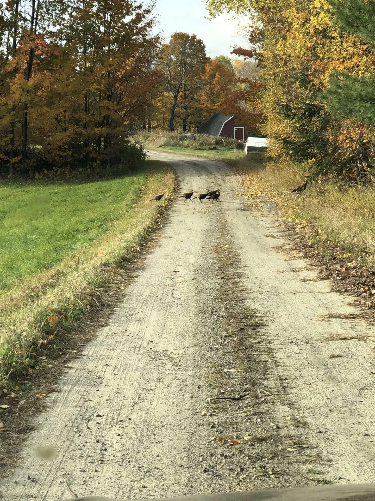 321 Davis Lane Brownington VT 05860