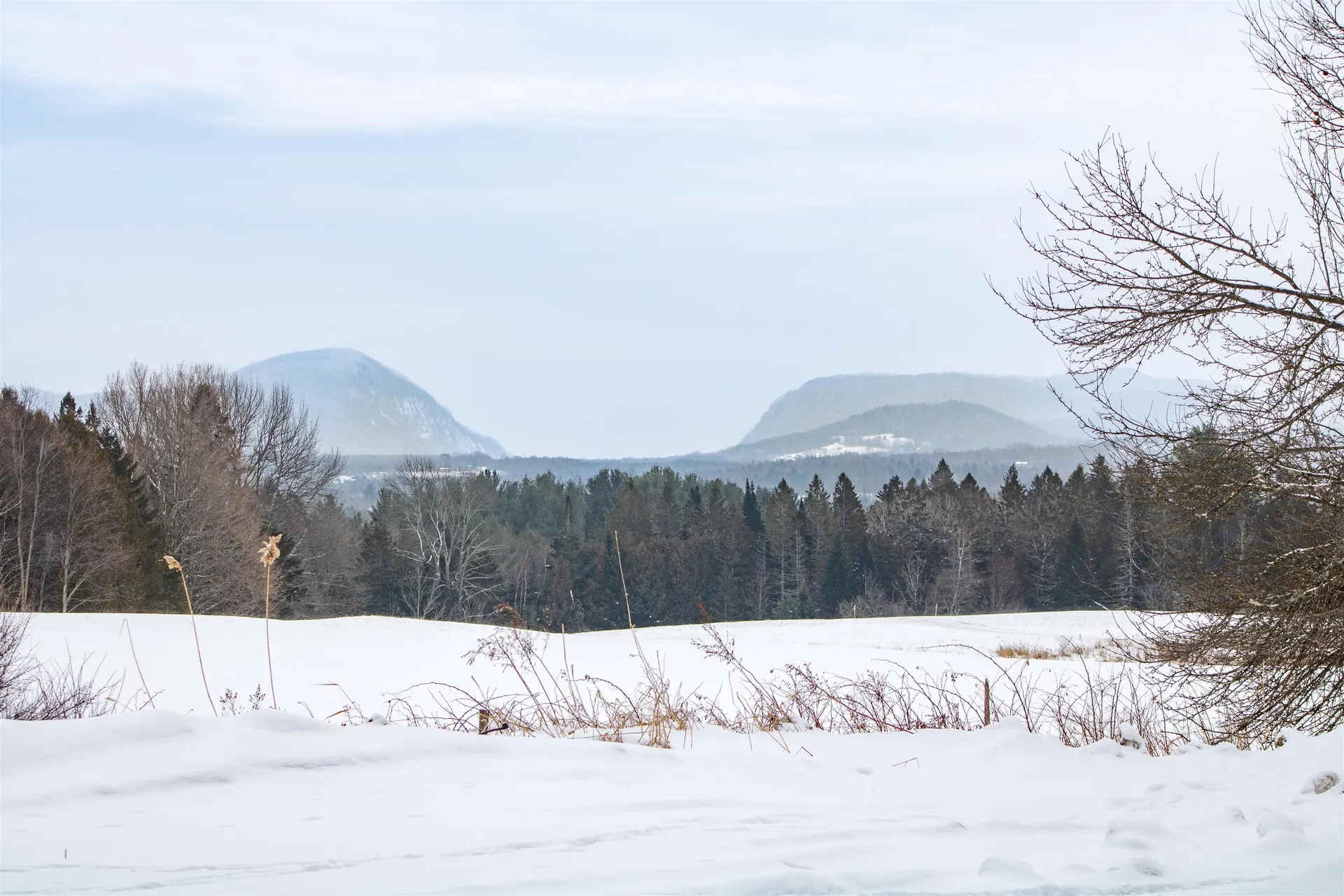 321 Davis Lane Brownington VT 05860