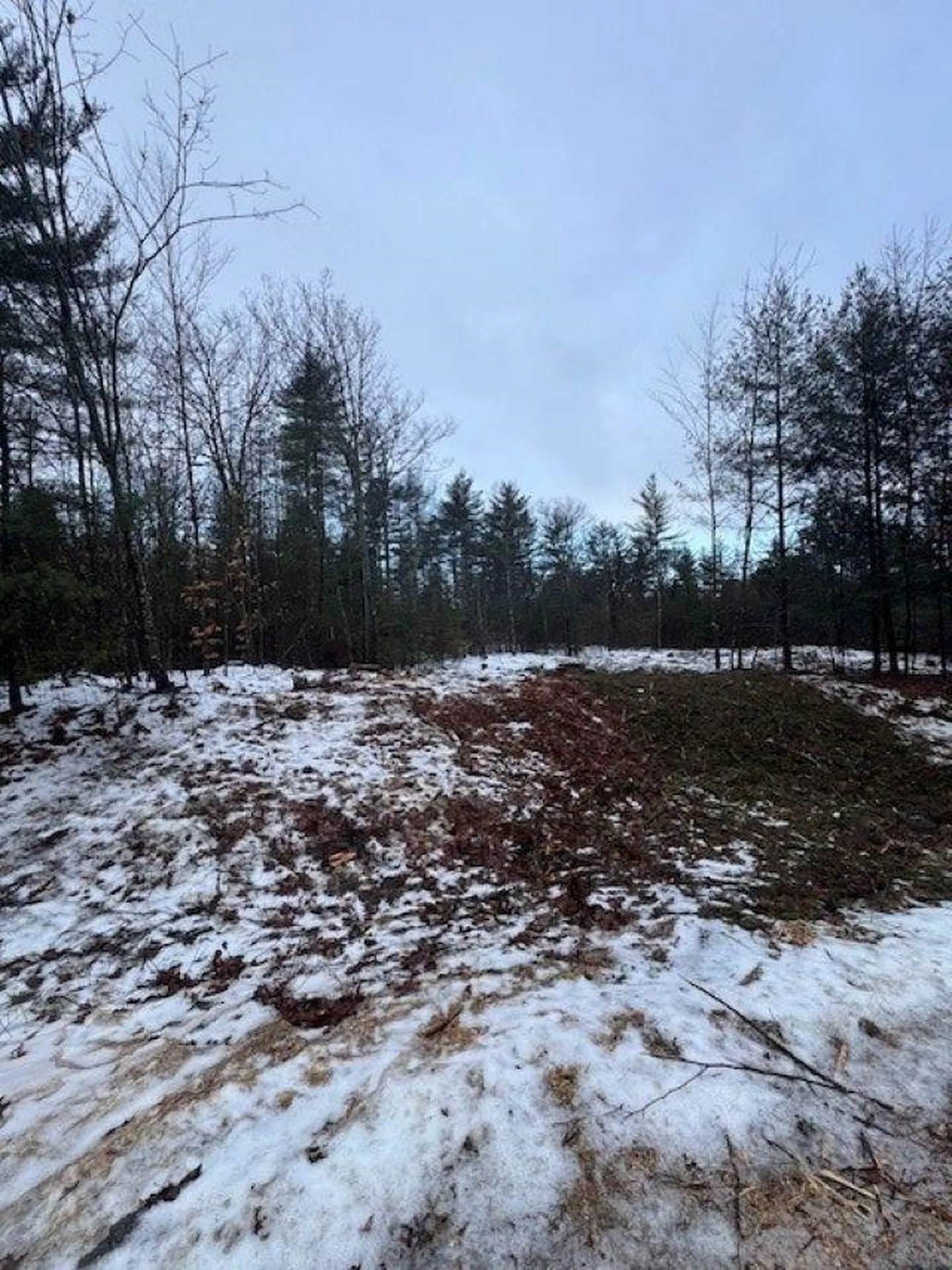 Eastman Way Weare NH 03281