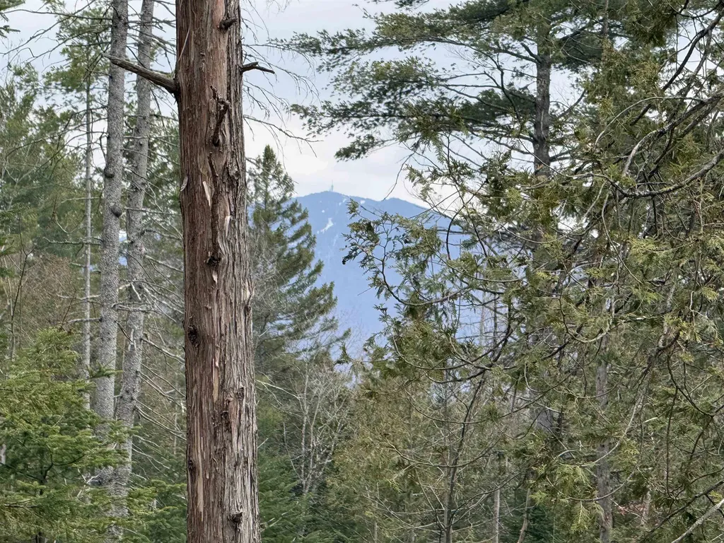 00 Wheelock Road Sutton VT 05867