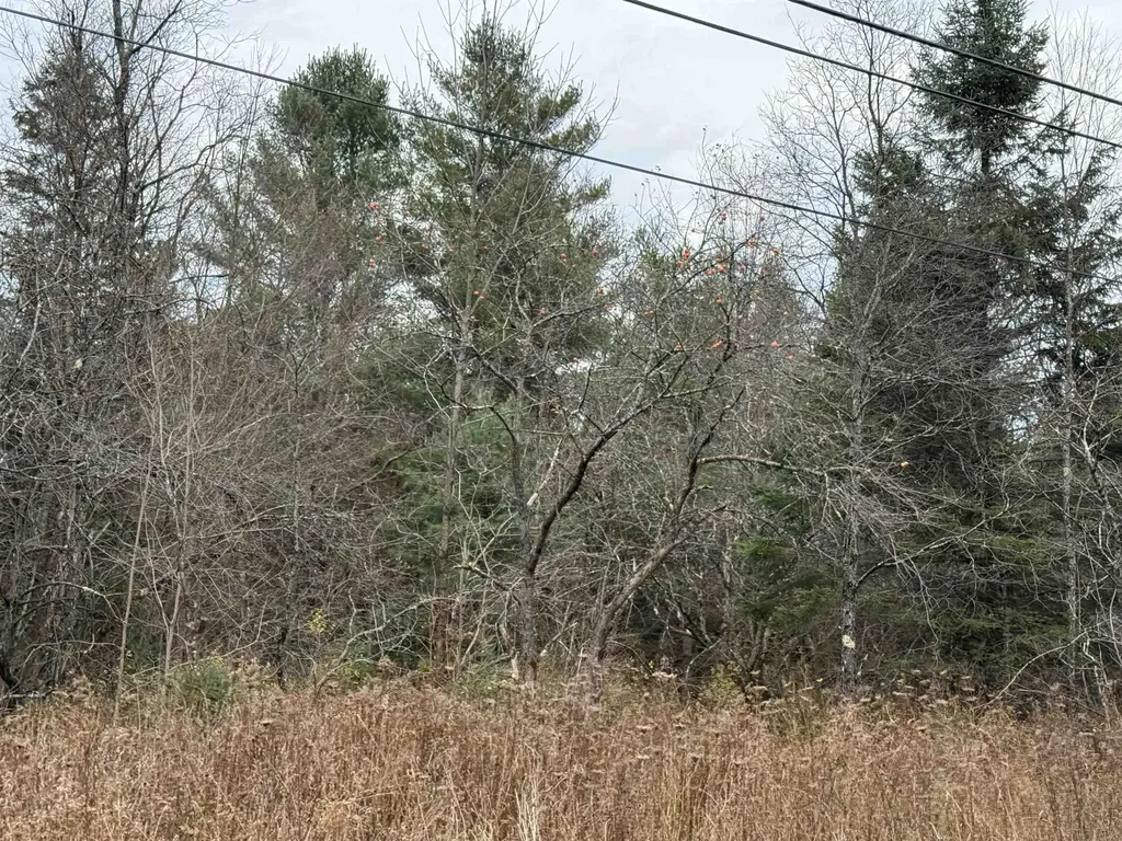 00 Wheelock Road Sutton VT 05867