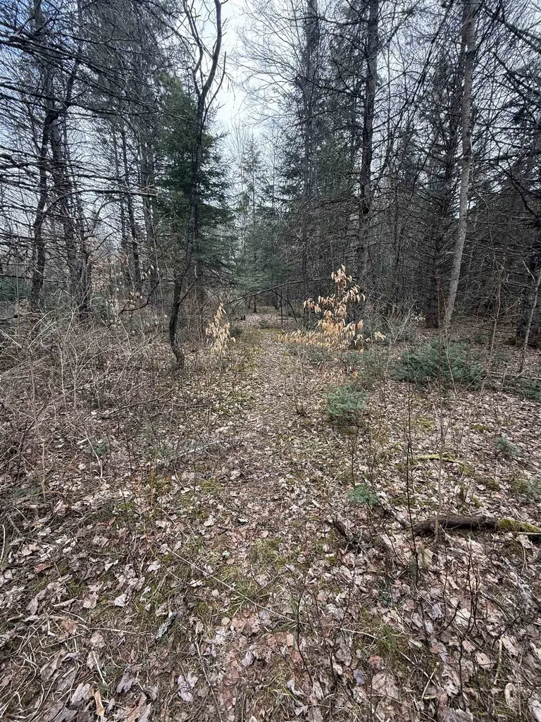 00 Wheelock Road Sutton VT 05867