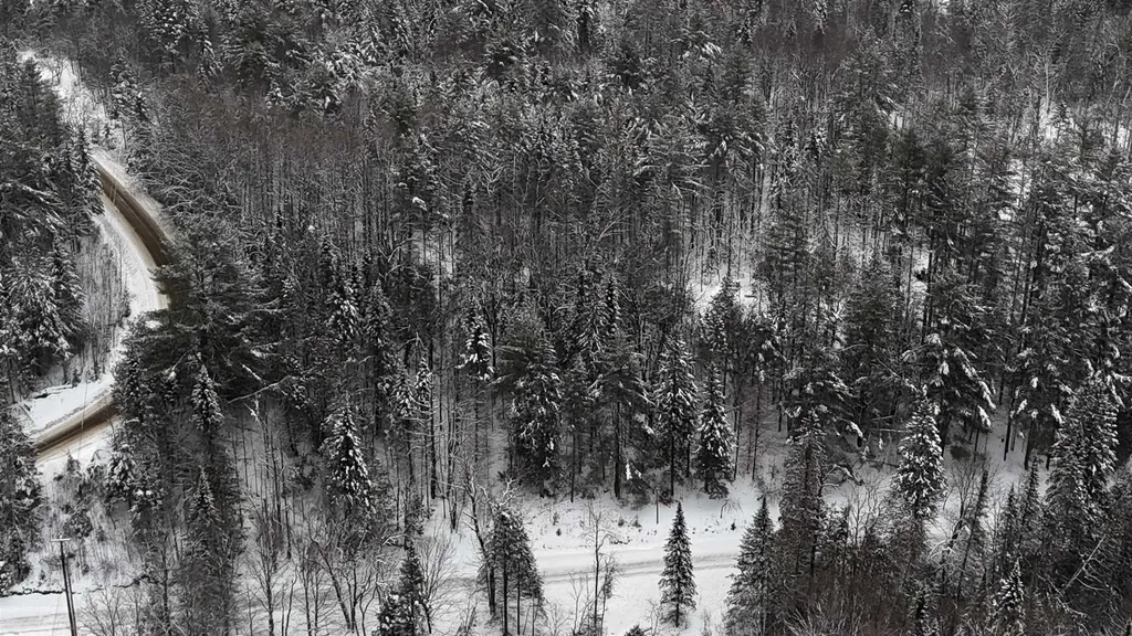 00 Wheelock Road Sutton VT 05867