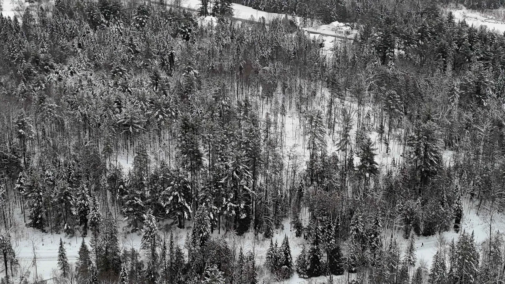 00 Wheelock Road Sutton VT 05867