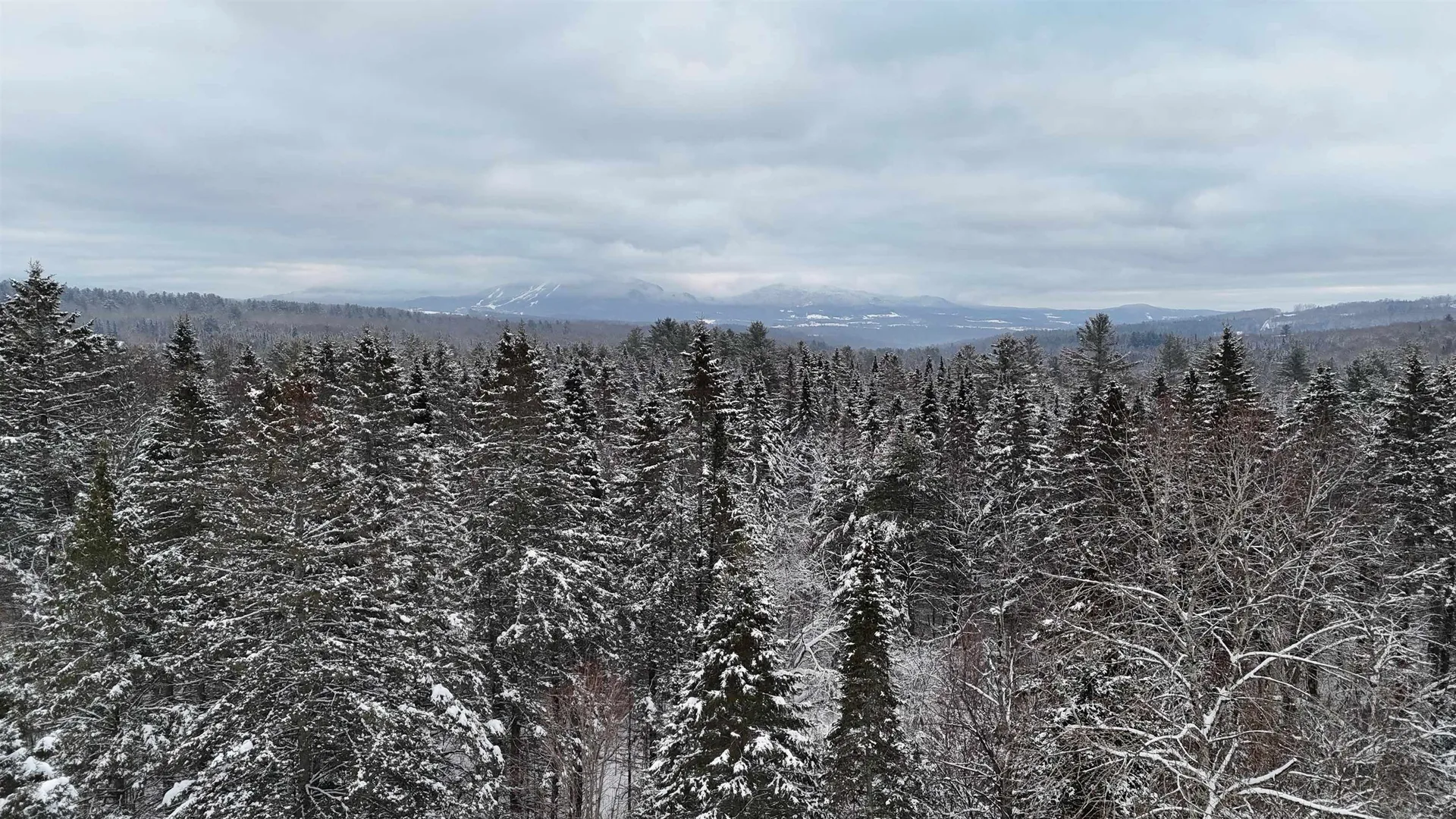 00 Wheelock Road Sutton VT 05867