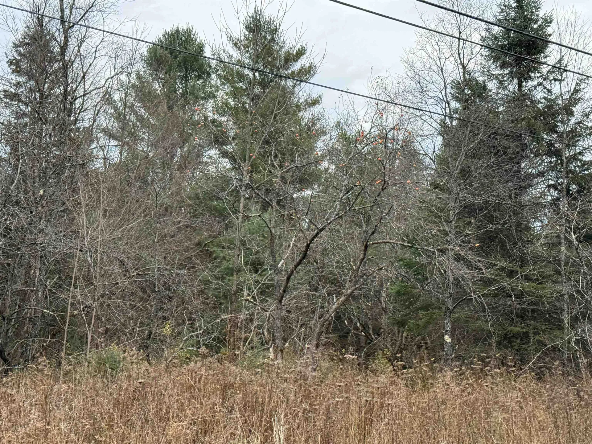 00 Wheelock Road Sutton VT 05867