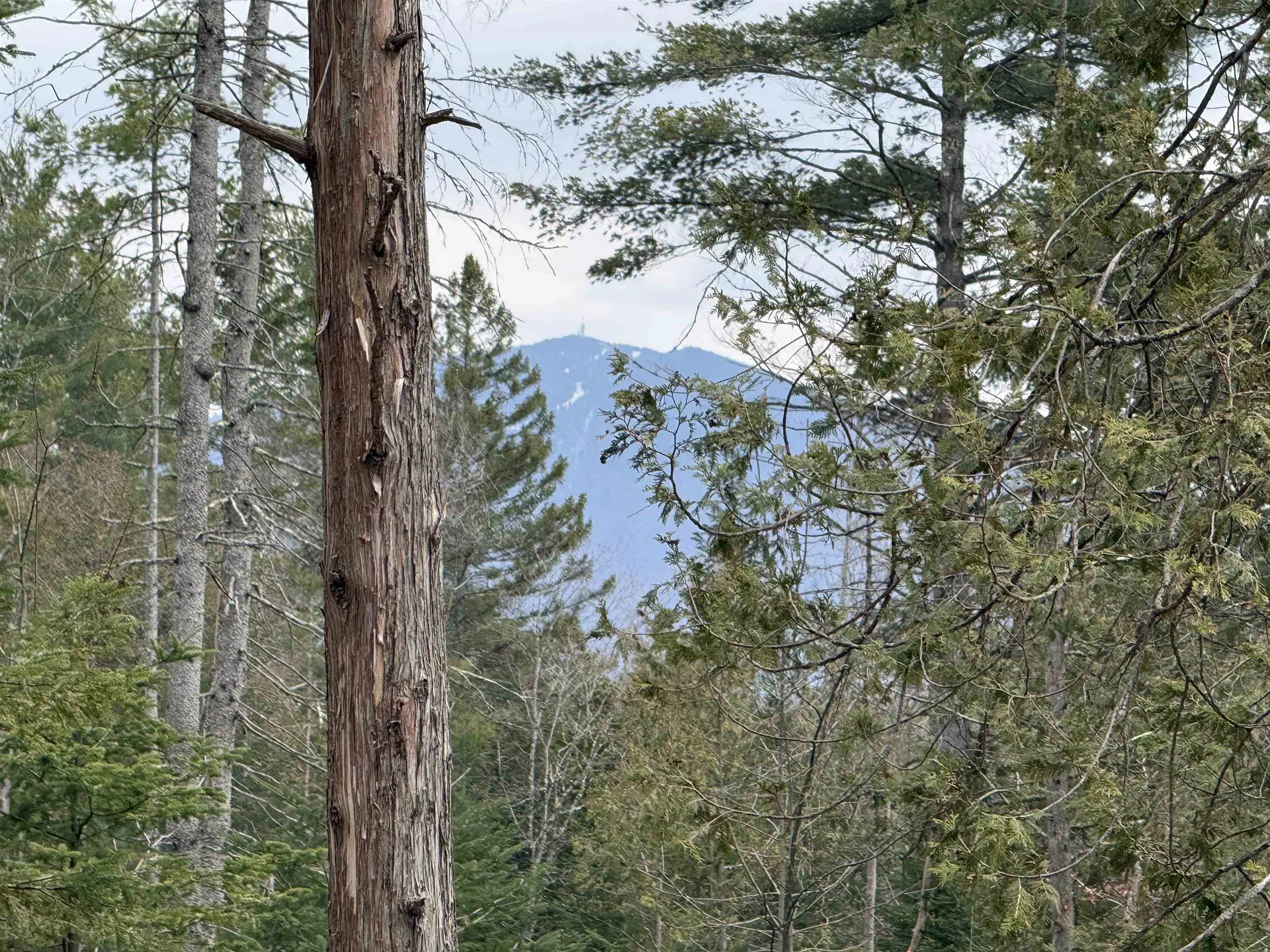 00 Wheelock Road Sutton VT 05867