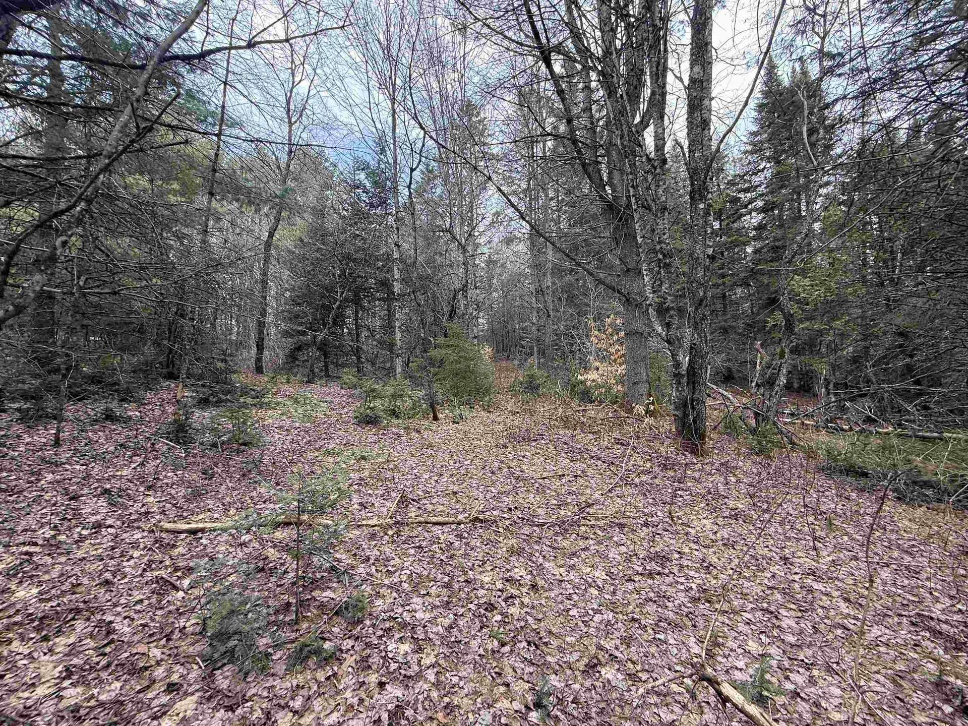 00 Wheelock Road Sutton VT 05867