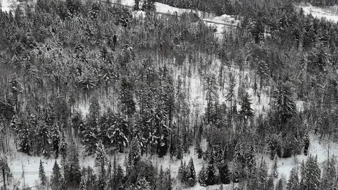 00 Wheelock Road Sutton VT 05867