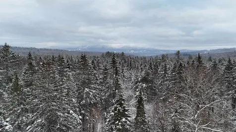 00 Wheelock Road Sutton VT 05867