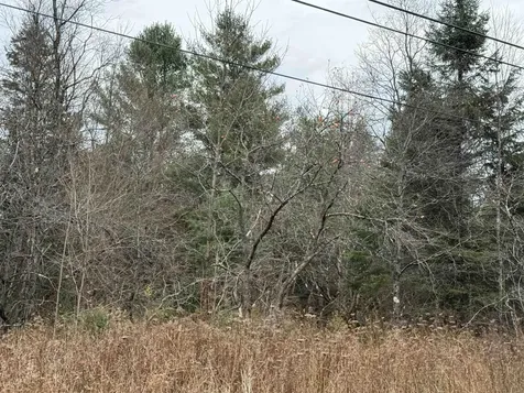 00 Wheelock Road Sutton VT 05867
