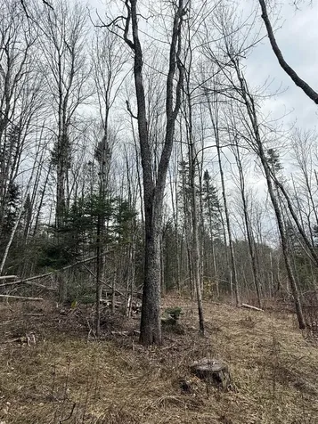 00 Wheelock Road Sutton VT 05867