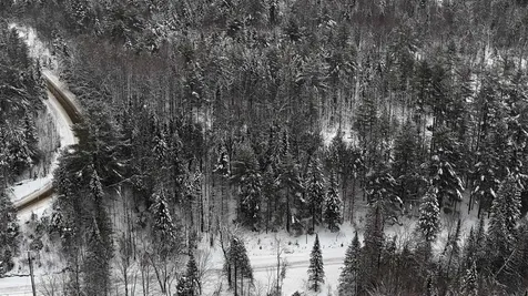 00 Wheelock Road Sutton VT 05867