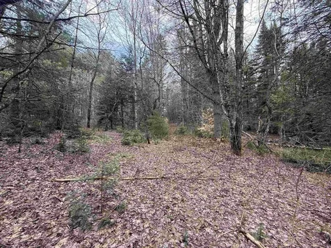 00 Wheelock Road Sutton VT 05867