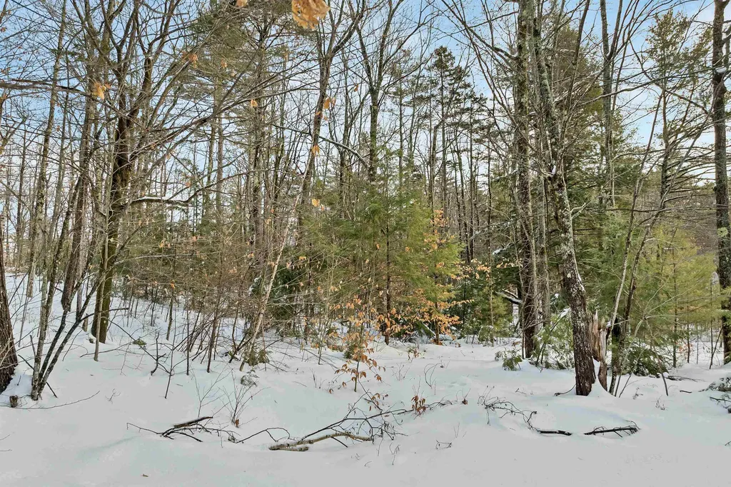 49 Tioga Road Hill NH 03243