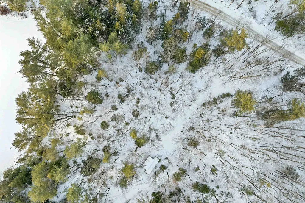 49 Tioga Road Hill NH 03243