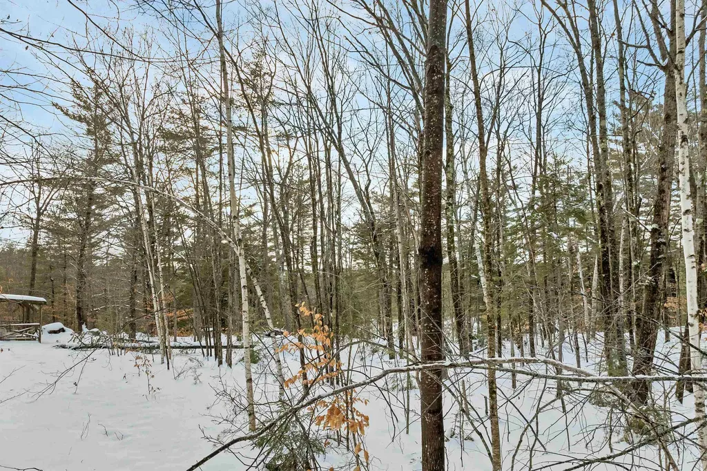 49 Tioga Road Hill NH 03243