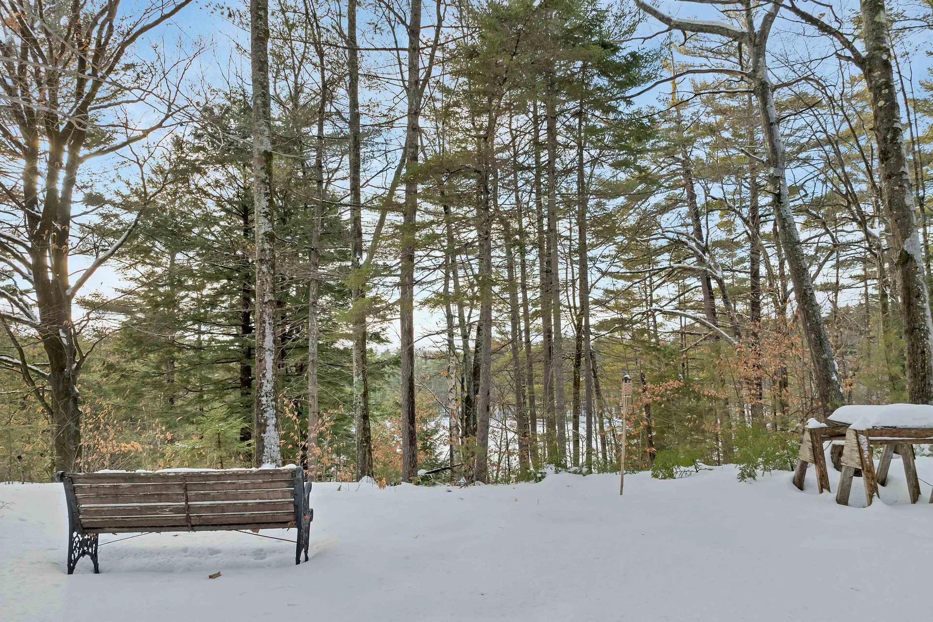 49 Tioga Road Hill NH 03243