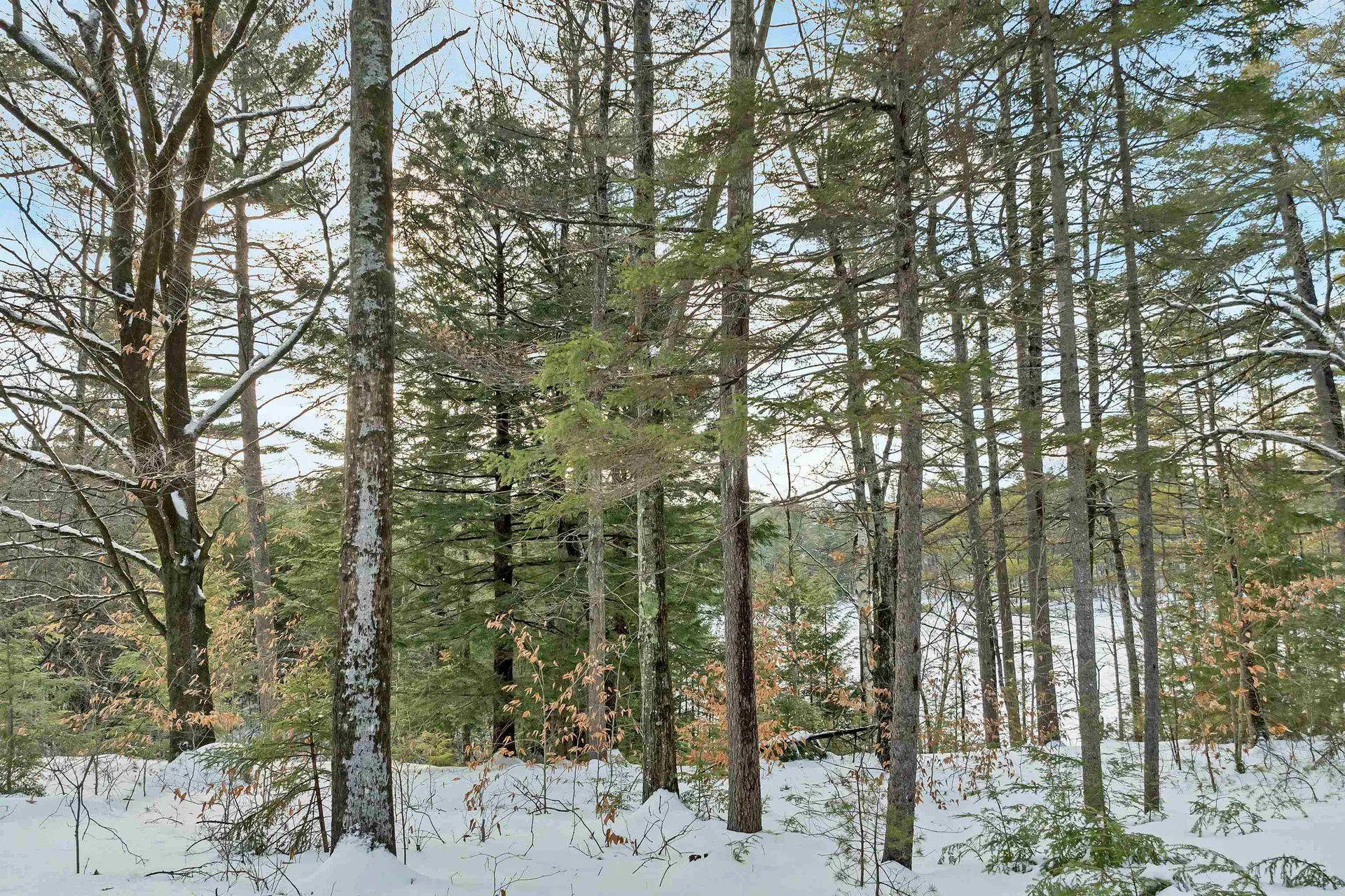 49 Tioga Road Hill NH 03243