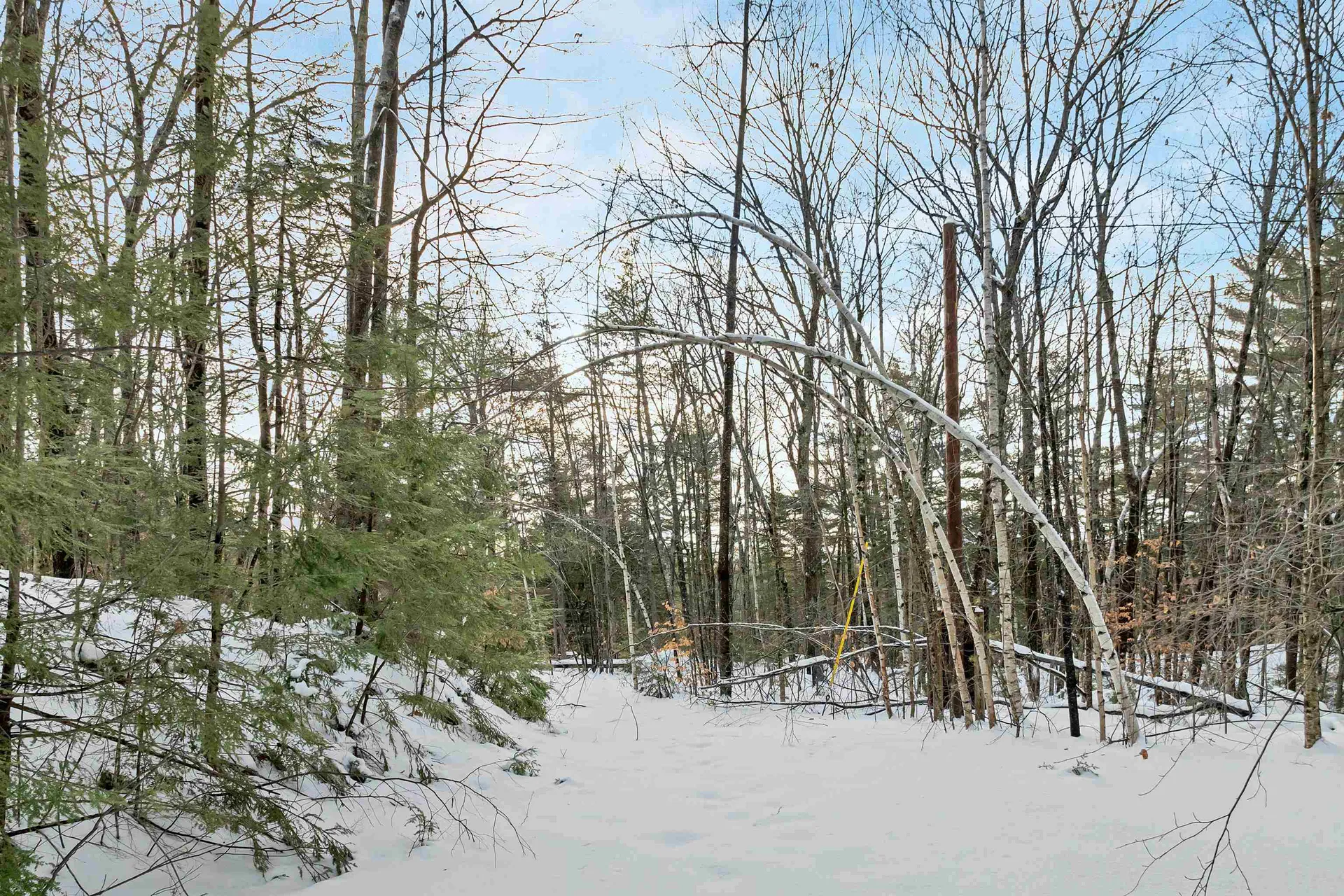 49 Tioga Road Hill NH 03243