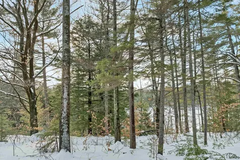 49 Tioga Road Hill NH 03243