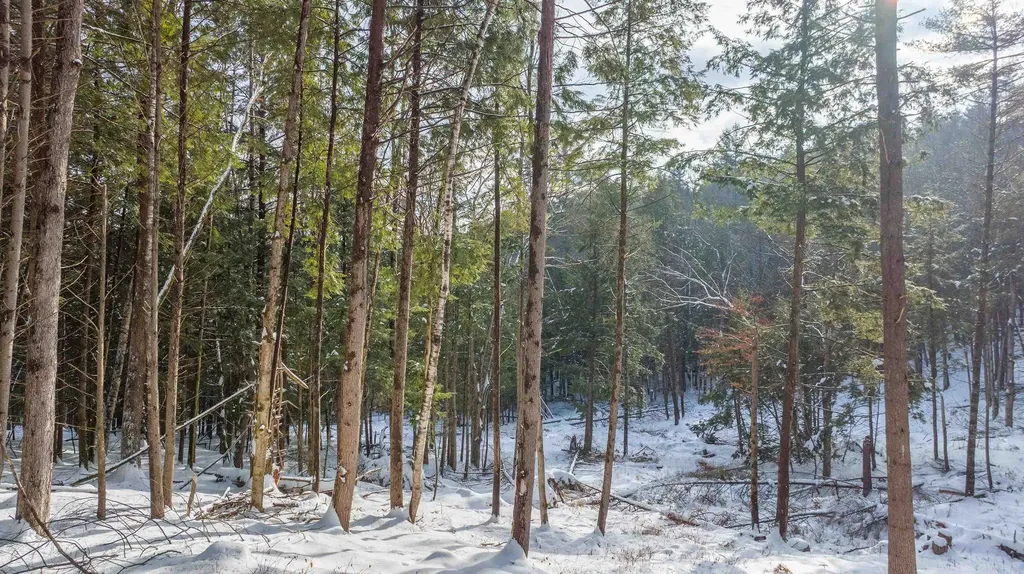 0 Fay Lane Hartford VT 05059