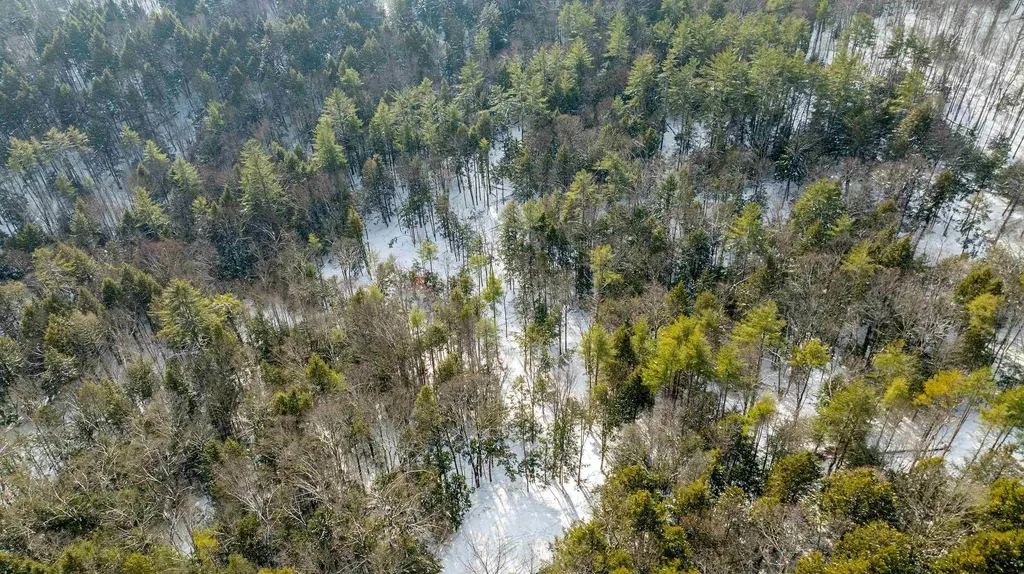 0 Fay Lane Hartford VT 05059