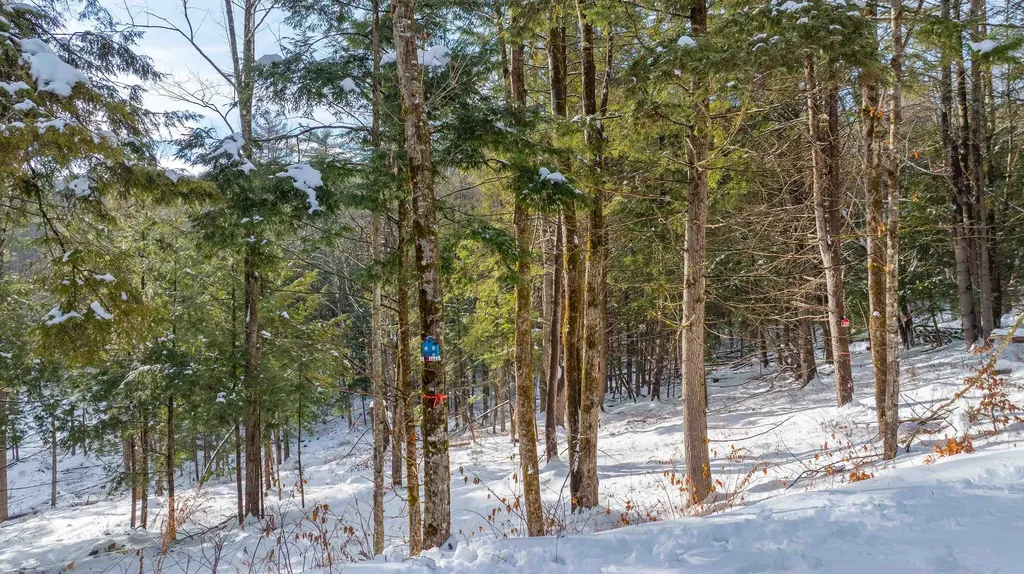 0 Fay Lane Hartford VT 05059