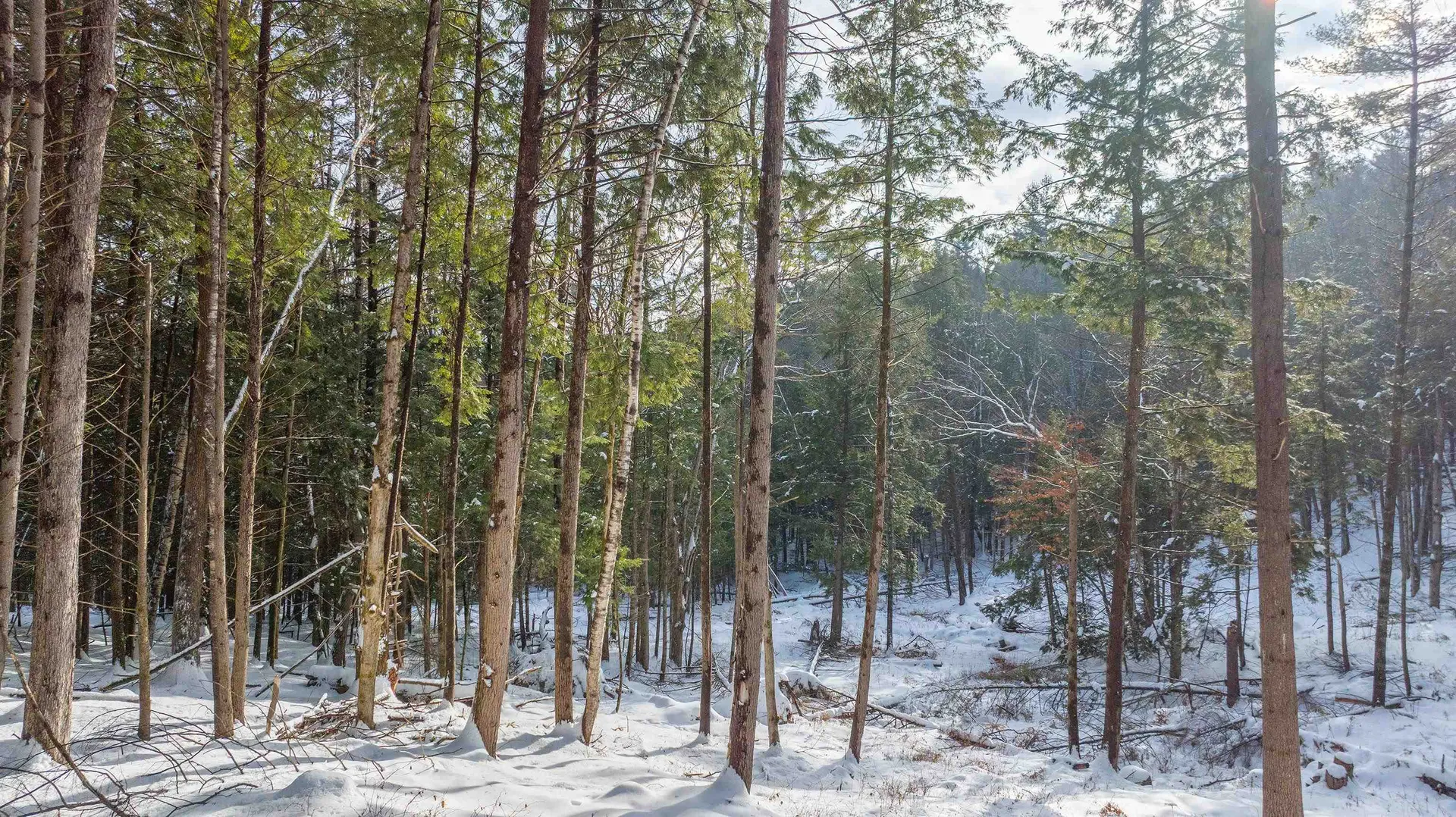 0 Fay Lane Hartford VT 05059