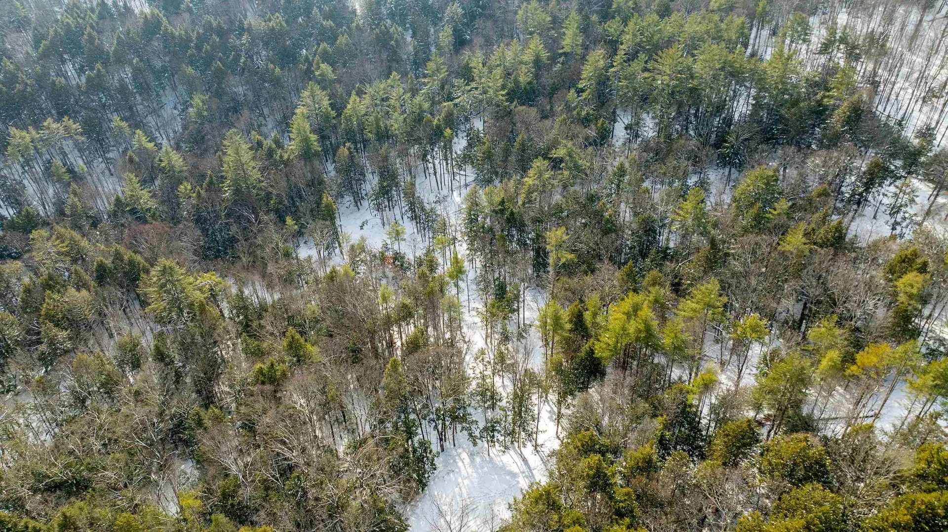 0 Fay Lane Hartford VT 05059