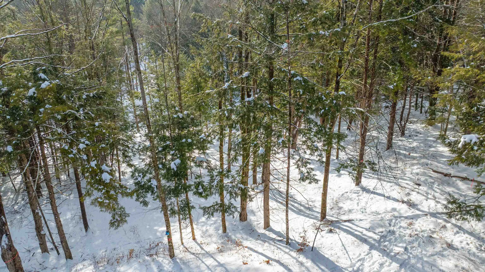 0 Fay Lane Hartford VT 05059