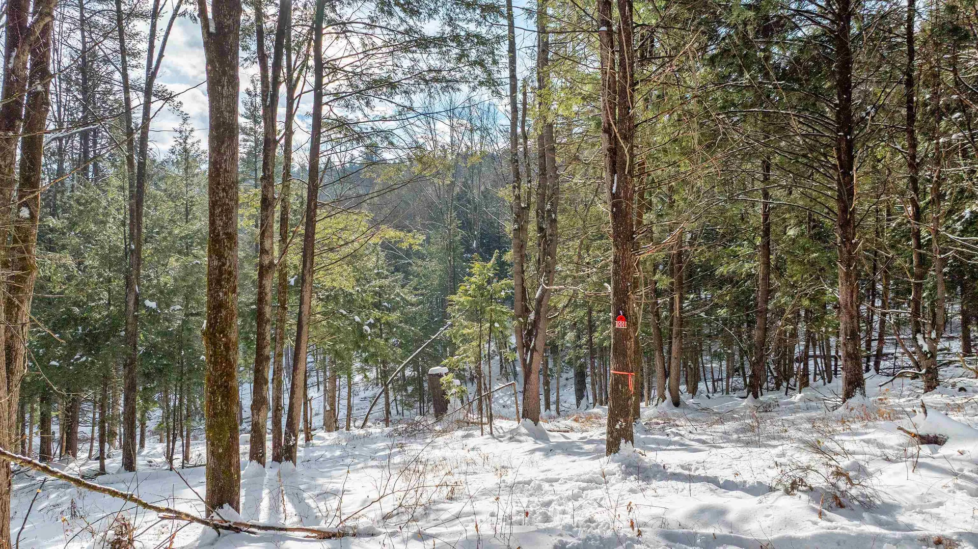 0 Fay Lane Hartford VT 05059