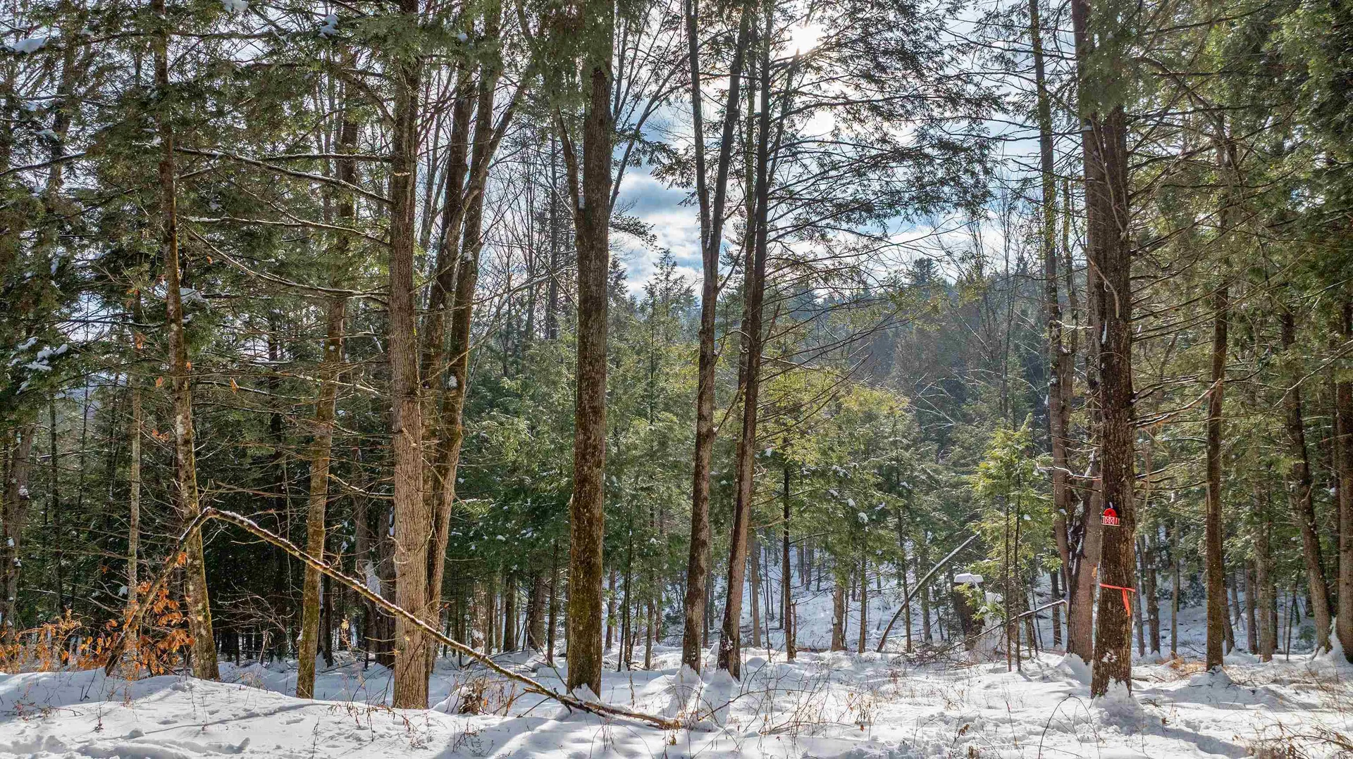 0 Fay Lane Hartford VT 05059