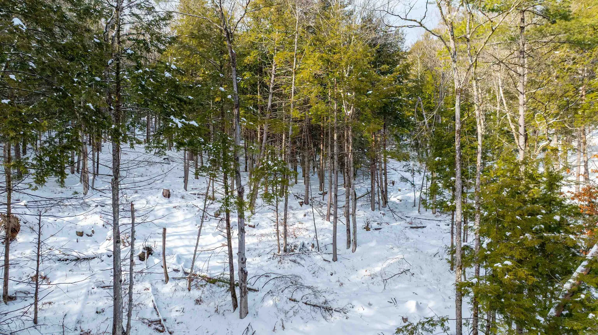 0 Fay Lane Hartford VT 05059